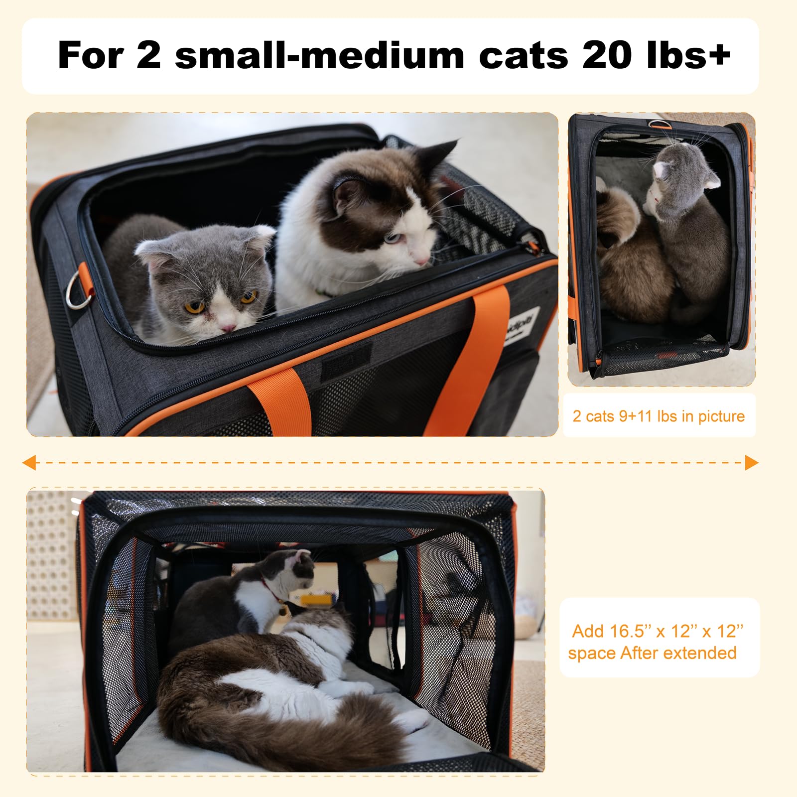 Transportín expandible para Mascotas de 20 Pulgadas de Largo x 14 Pulgadas de Ancho x 14 Pulgadas de Alto para 2 Gatos pequeños y medianos/1 Gato Mediano/1 Perro pequeño, para Viajes en Coche