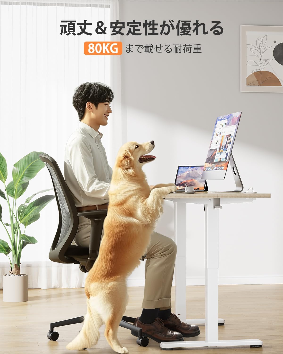 Amazon | 電動 昇降式デスク ロータイプ 幅120cm コンセント&USBポート