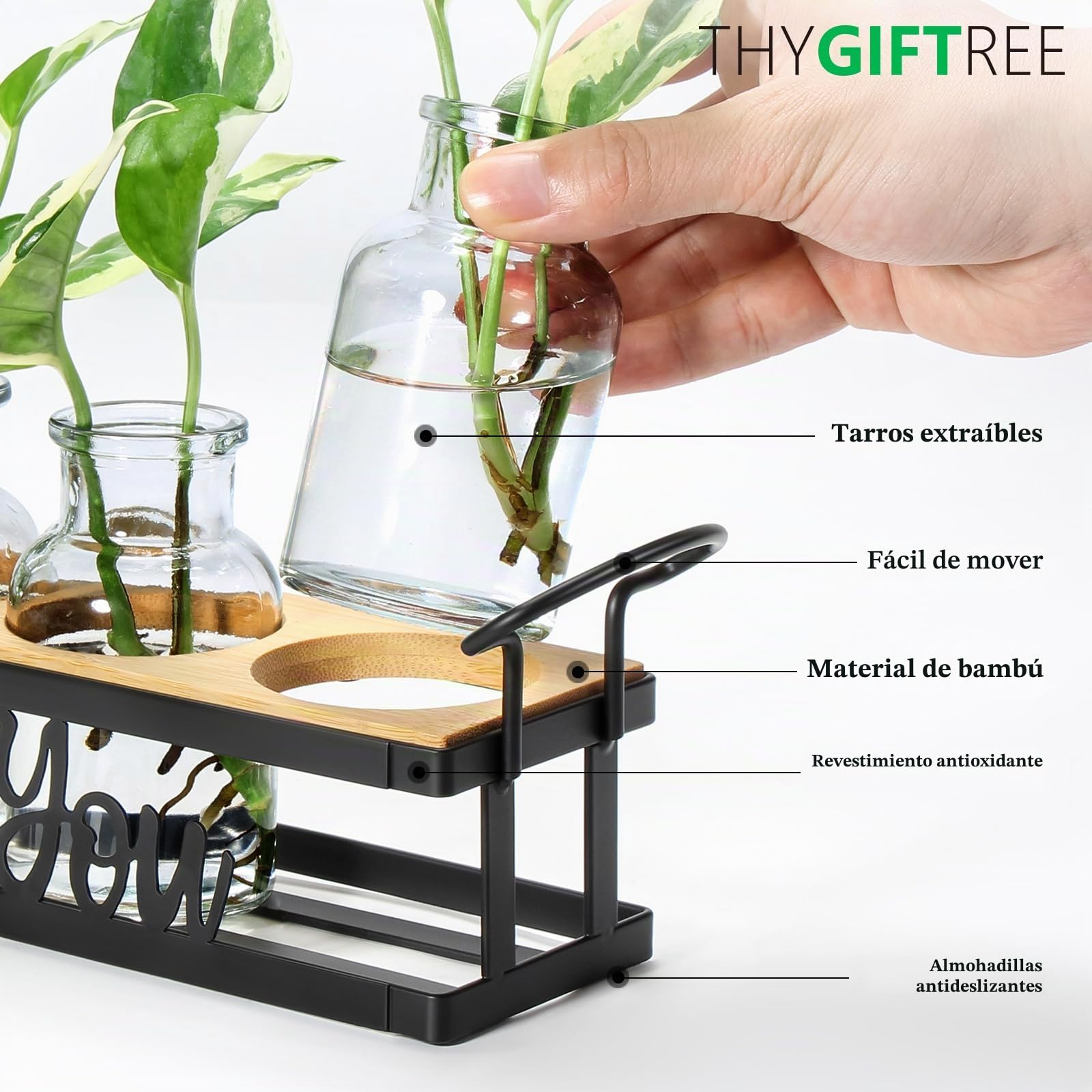 THYGIFTREE Estaciones De PropagacióN De Plantas con Soporte De Metal, Terrario De Plantas De Mesa para PropagacióN HidropóNica, Macetero De Cristal Retro, Florero, DecoracióN del Hogar, Cocina