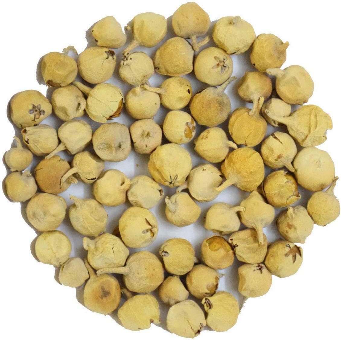 Jai Jinendra herbs Ayurvedic Herbal Indian Rennet | Paneer Doda | Paneer ka Phool | Withania Coagulans | Anti -Diabetic herb (100)