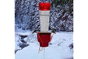 Heated Hummingbird Feeder, Outdoor Feeder Heater