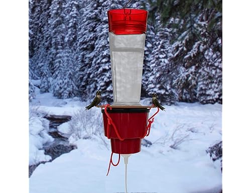 Best Hummingbird Feeder Heaters for Winter Outdoor Use