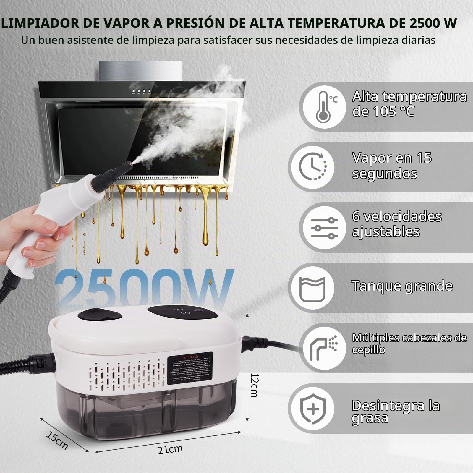 Vaporeta Limpieza Hogar 2500W, Limpiador a Vapor 1100ML, Temperatura 6 Velocidades Ajustables 5 Accesorios para Muebles de Cocina Baño Coche