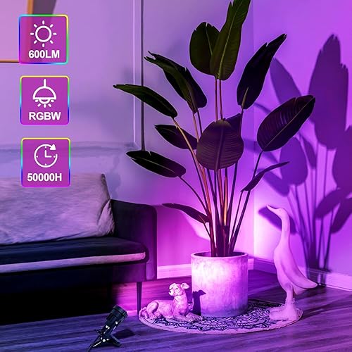 Miniatura 4 de FZWLE RGBW Spot Lights Clamp Indoor Spotlight,2 Pack 7W LED Clip-On Spot Lights with Remote Control, Uplighting Indoor Spotlight, Plant Spotlight