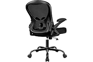 Ergonomic Office Chair with Adjustable Lumbar Support and Flip-Up Armrests (Black)