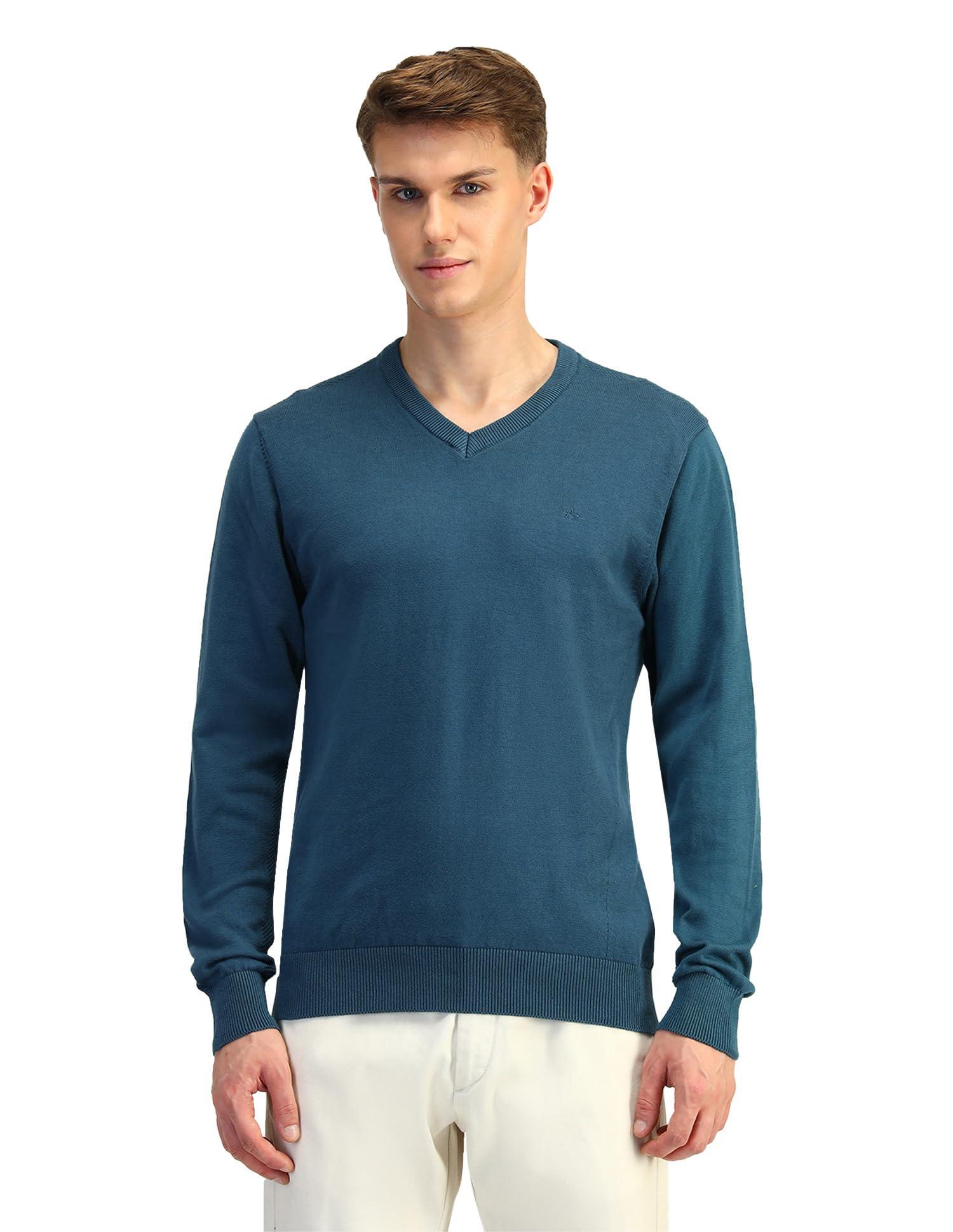 arrow Mens Green Solid V-Neck Long Sleeve Casual Cotton Regular Fit Sweater-picture-11