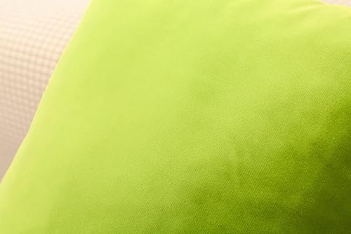 Miniatura 4 de TangDepot Juego de 2 fundas de almohada de terciopelo súper suaves, fundas de almohada lumbares, fundas de almohada - (12 x 20 pulgadas, 2 piezas,