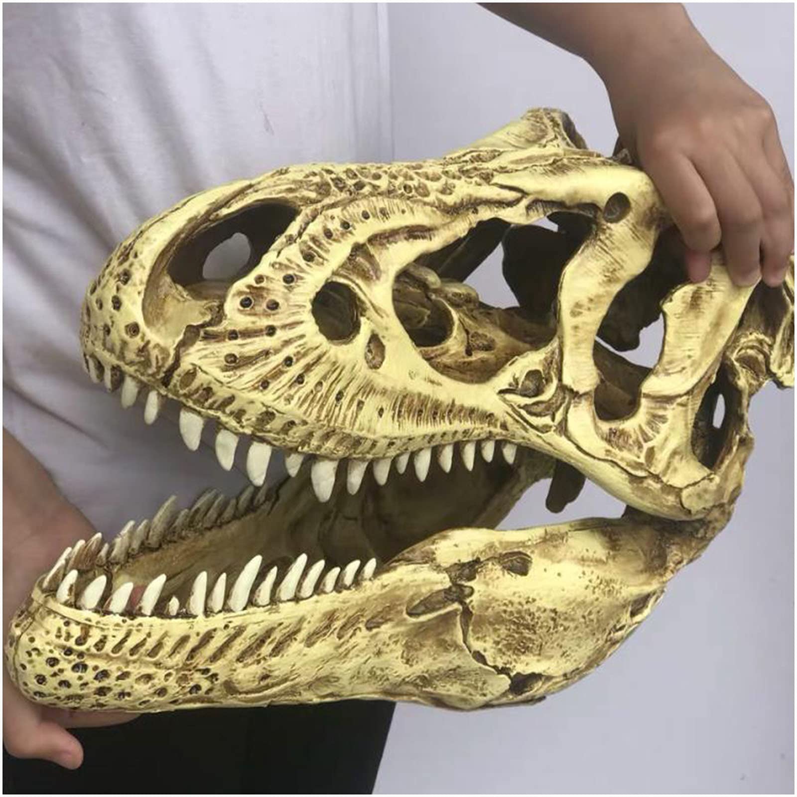 Replika czaszki T-Rexa Model symulowany szkielet zwierzęcia Tyrannosaurus Rex Wystrój biura domowego Rzemiosło Ozdoba na biurko Rekwizyt dydaktyczny