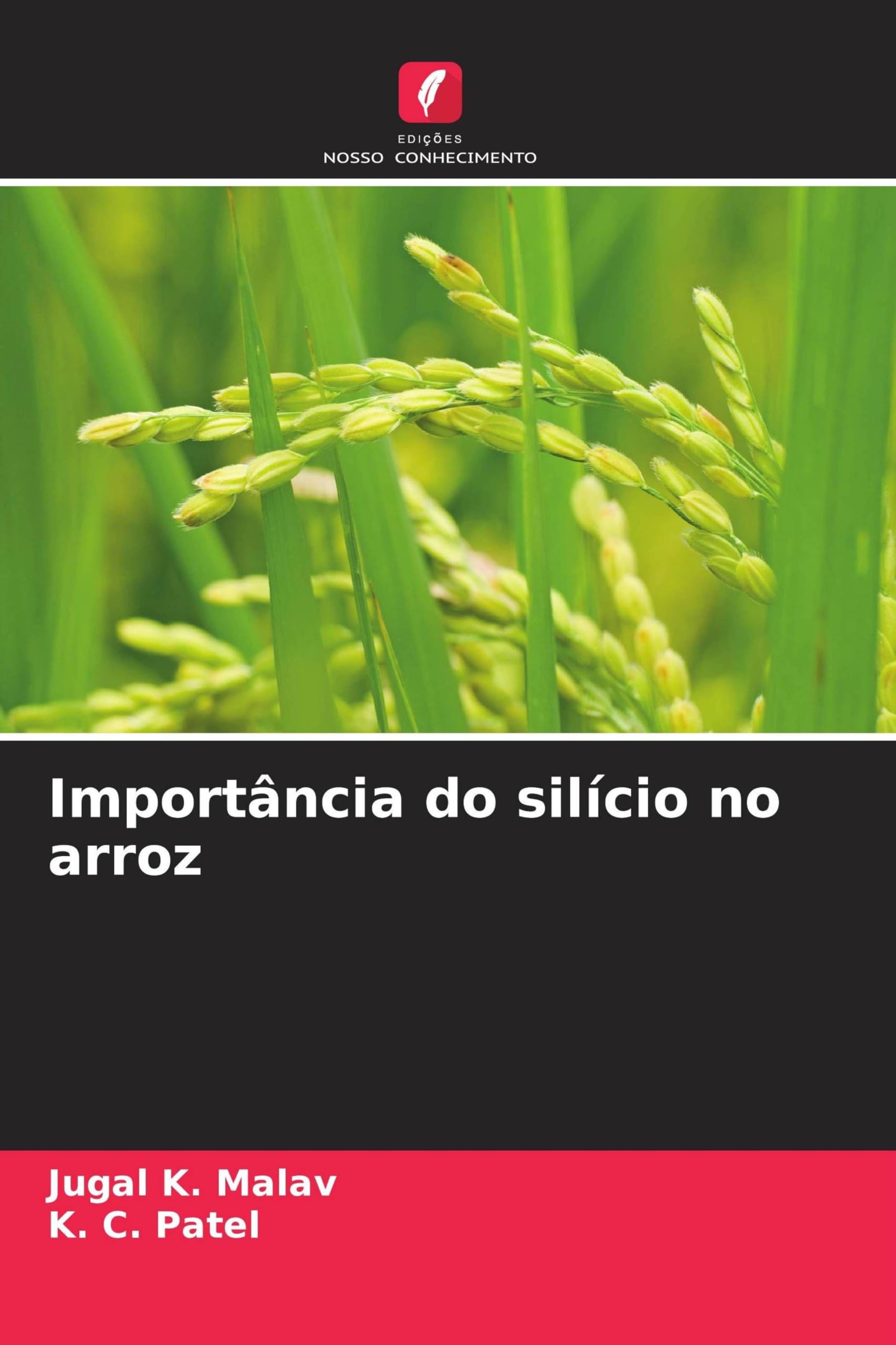 Importância do silício no arroz