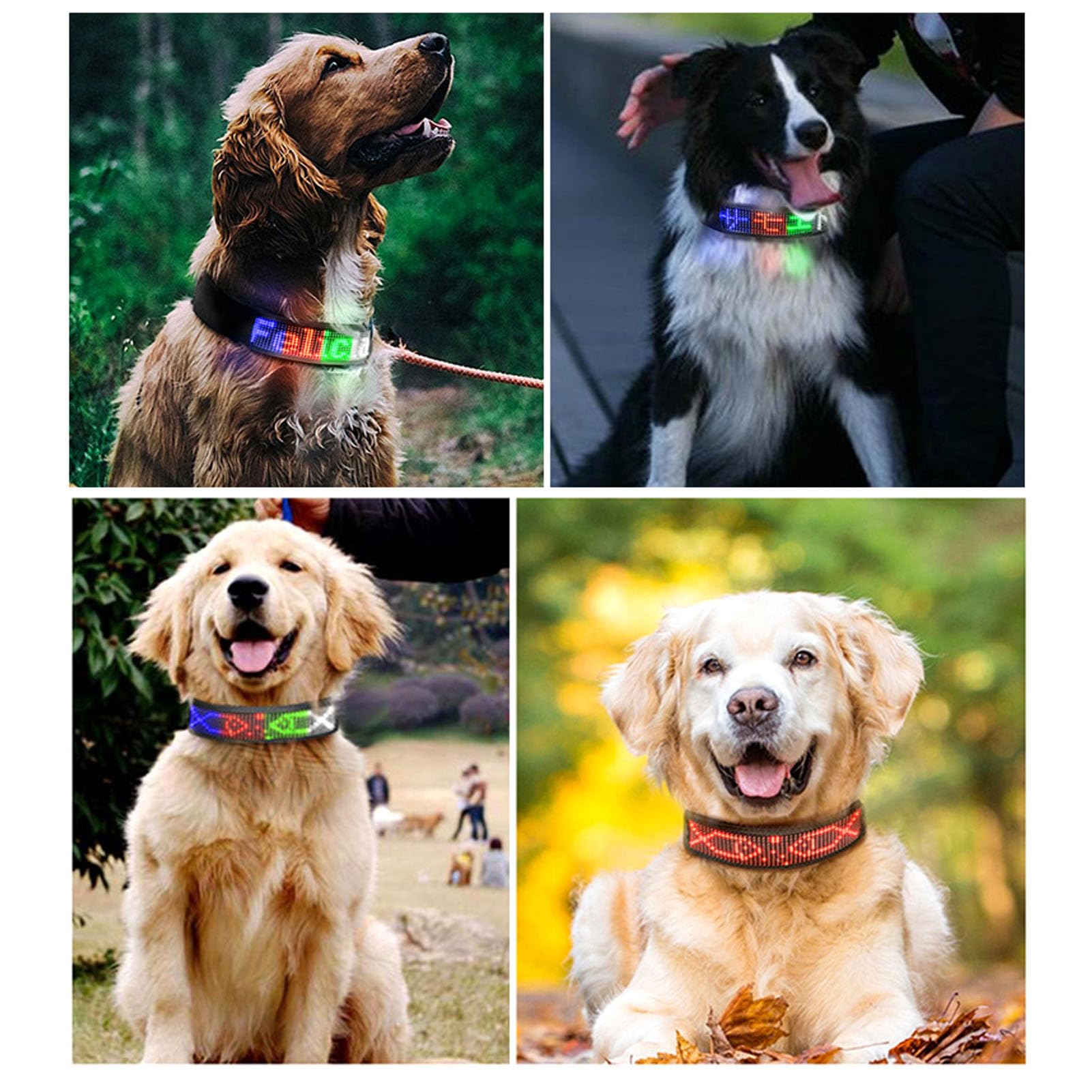 Collare per Cani a LED Programmabile Ricaricabile Luminoso Ad Alta visibilità Collare Luminoso Illuminato Sicurezza per Cani Lampeggiante Collo Luminoso BT Trasmette