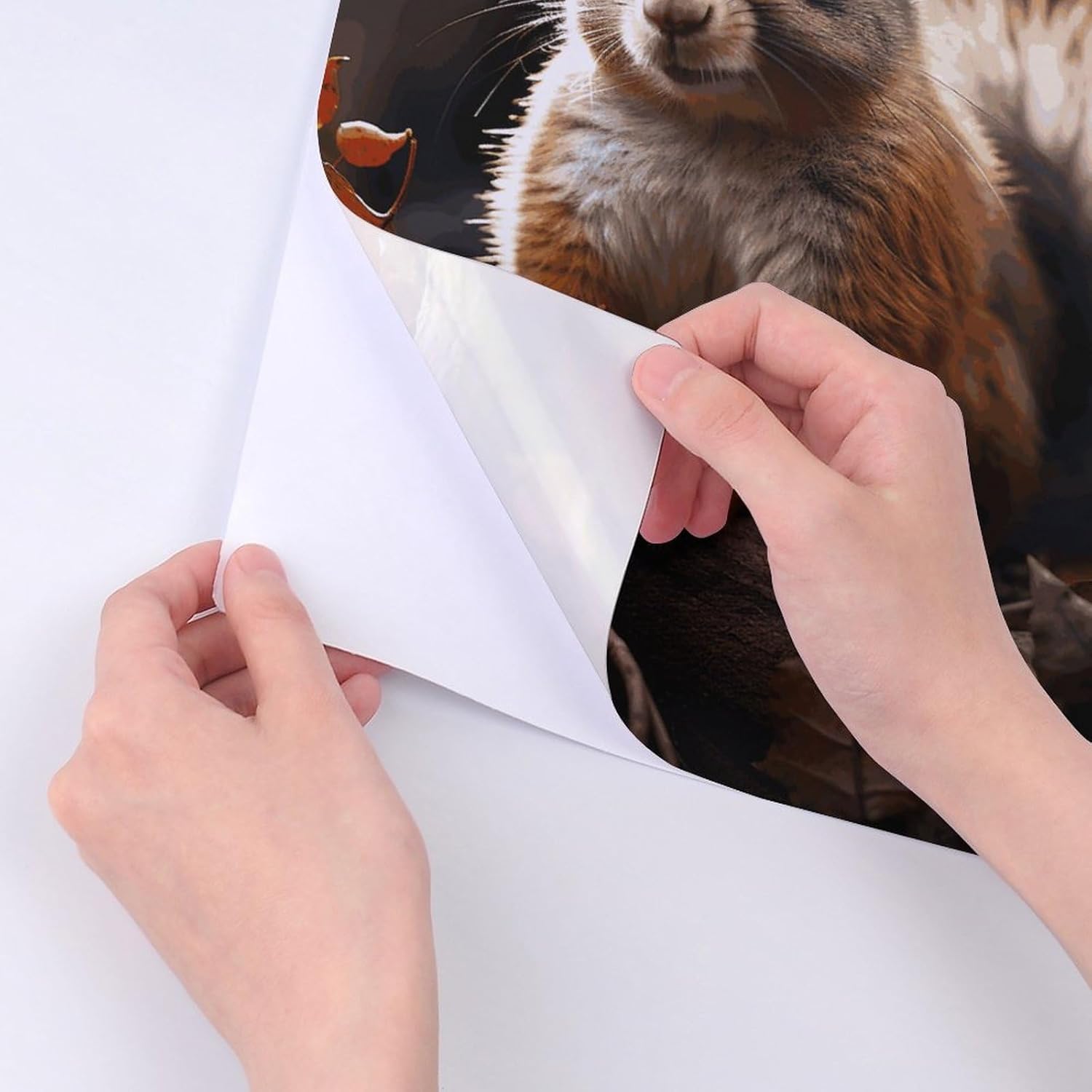 Cute Stickers Waterproof Funny Squirrel in The Woods Stickers for Water Bottles Laptop Decor