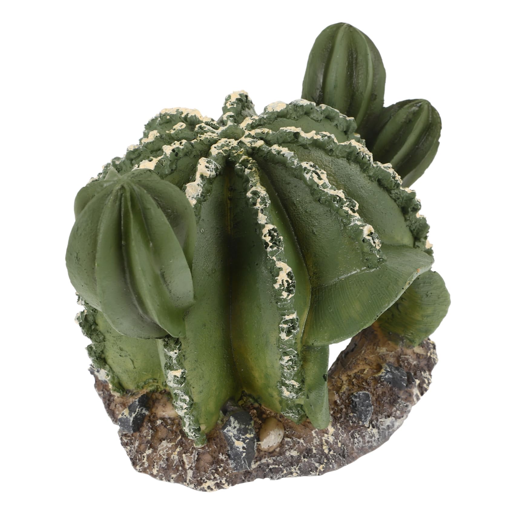 BESPORTBLE 4pezzi Caverna Decorativa Resina Per Rettili Forma Di Cactus Nascondiglio Pratico Per Terrario Rifugio Naturale Per Lucertole e Altri Animali Esotici