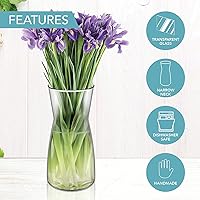 Vista 8 de Jarrón de alta calidad - Jarrón de flores transparente, jarrón de cristal para decoración rústica del hogar, jarrones decorativos para flores