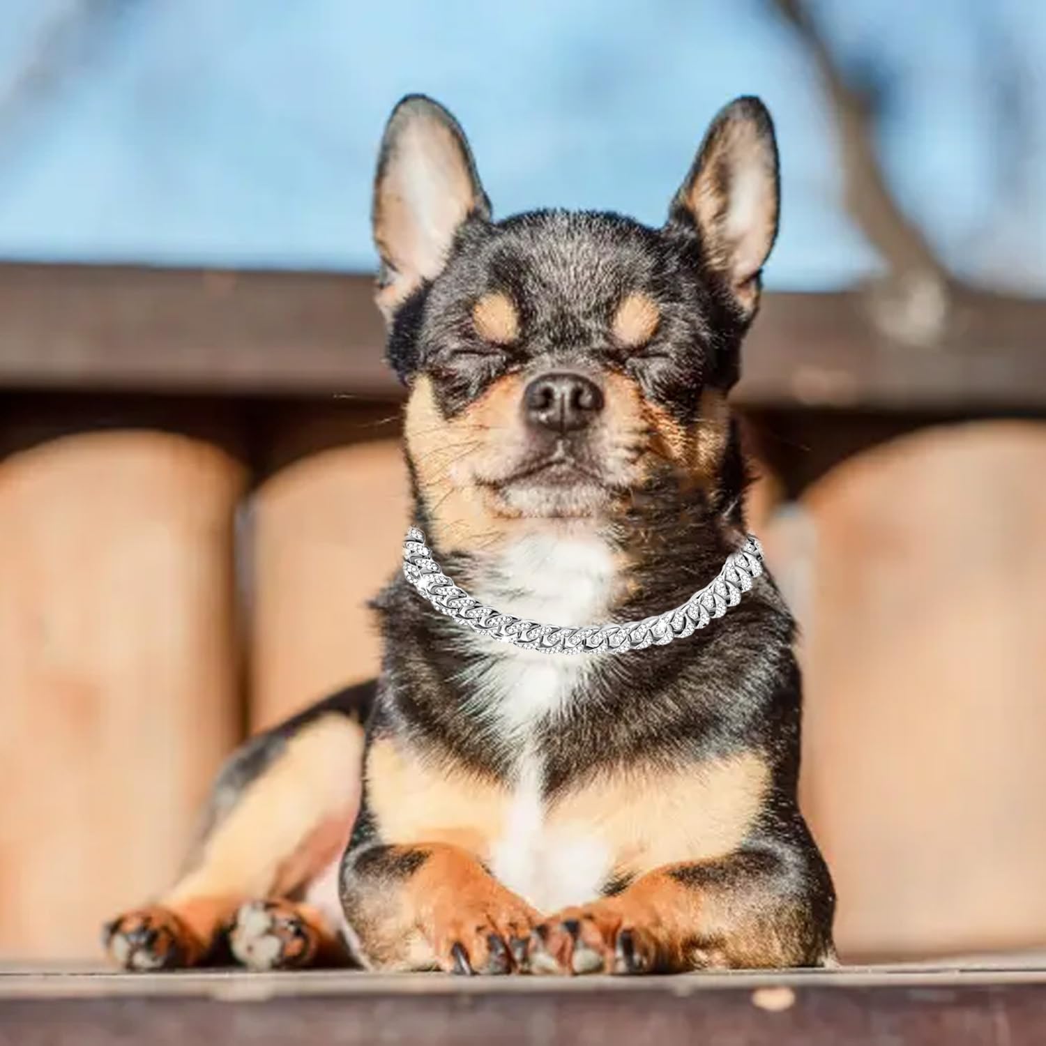 Collana con Catena Cubana in Zircone da 8 Pollici per Cuccioli, Collare con Diamante per Cane - Collana in Cristallo per Animali Domestici