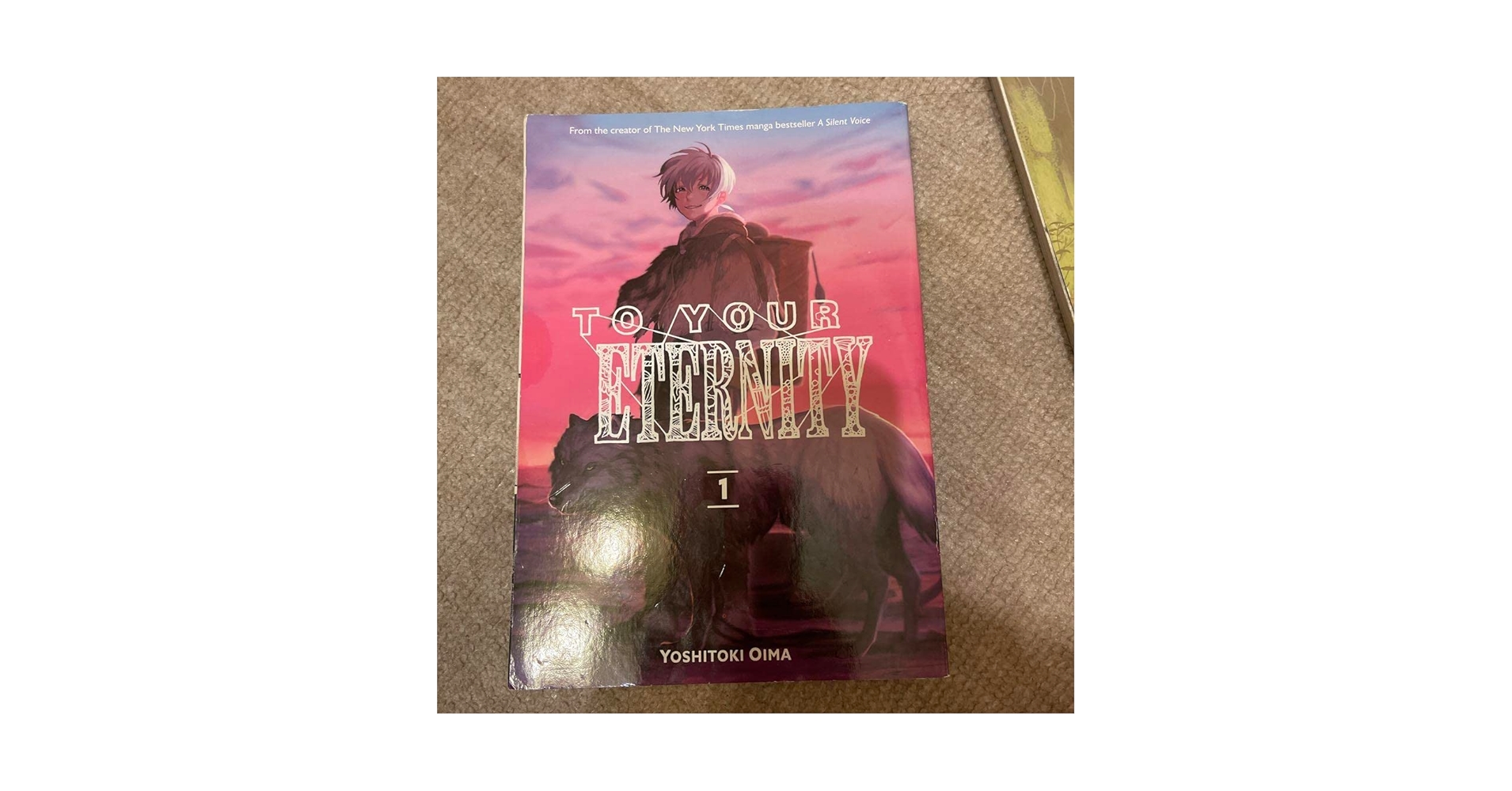 Amazon.co.jp: 不滅のあなたへ英語版1巻〜4巻 VGBSDV9G : おもちゃ