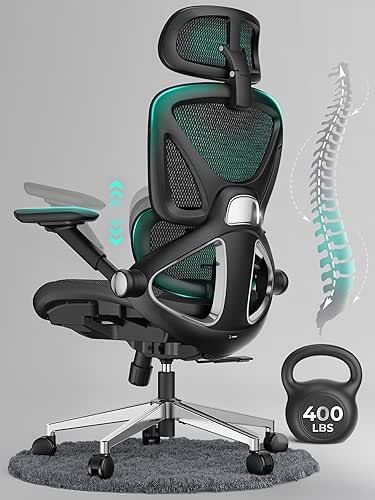 CAPOT Ergonomic Mesh Office Chair, Adjustable Lumbar High Back Desk