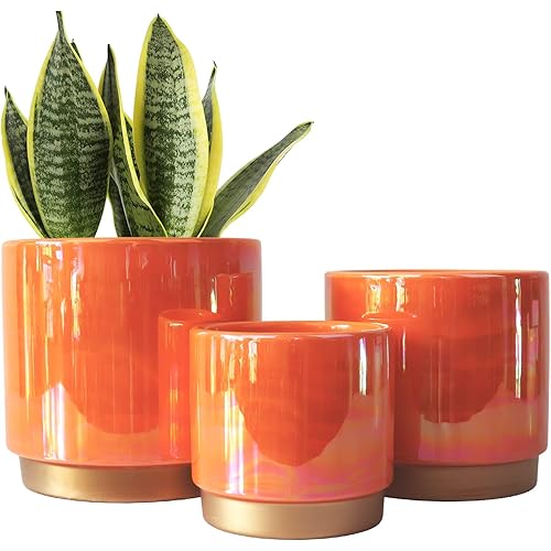 Gepege Ceramic Indoor Pots for Plants, Rainbow Pearl Glaze Planter with Drainage Hole, 6.0 inch+5.0 Inch+4.0 Inch. Orchid Flower Pots