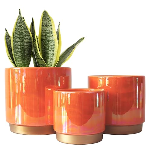 Gepege Ceramic Indoor Pots for Plants, Rainbow Pearl Glaze Planter