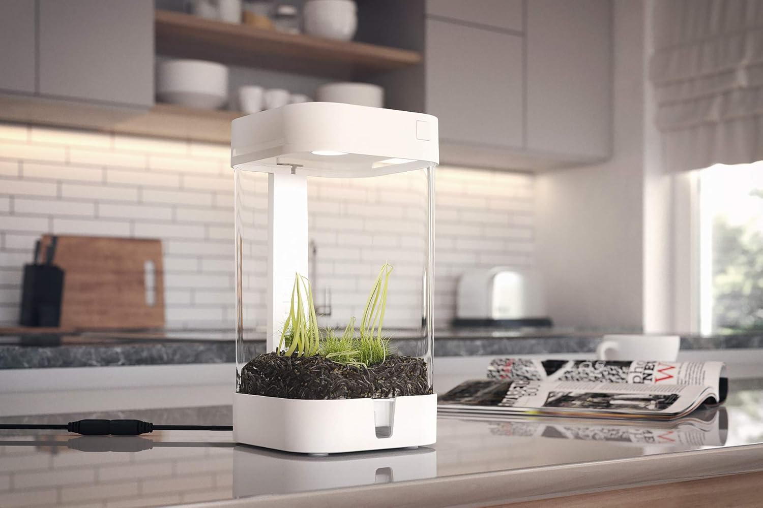 OrchidBox Mini (White) Smart LED Terrarium Orchid Box for Moss Gardens, sedums, and Carnivorous Plants