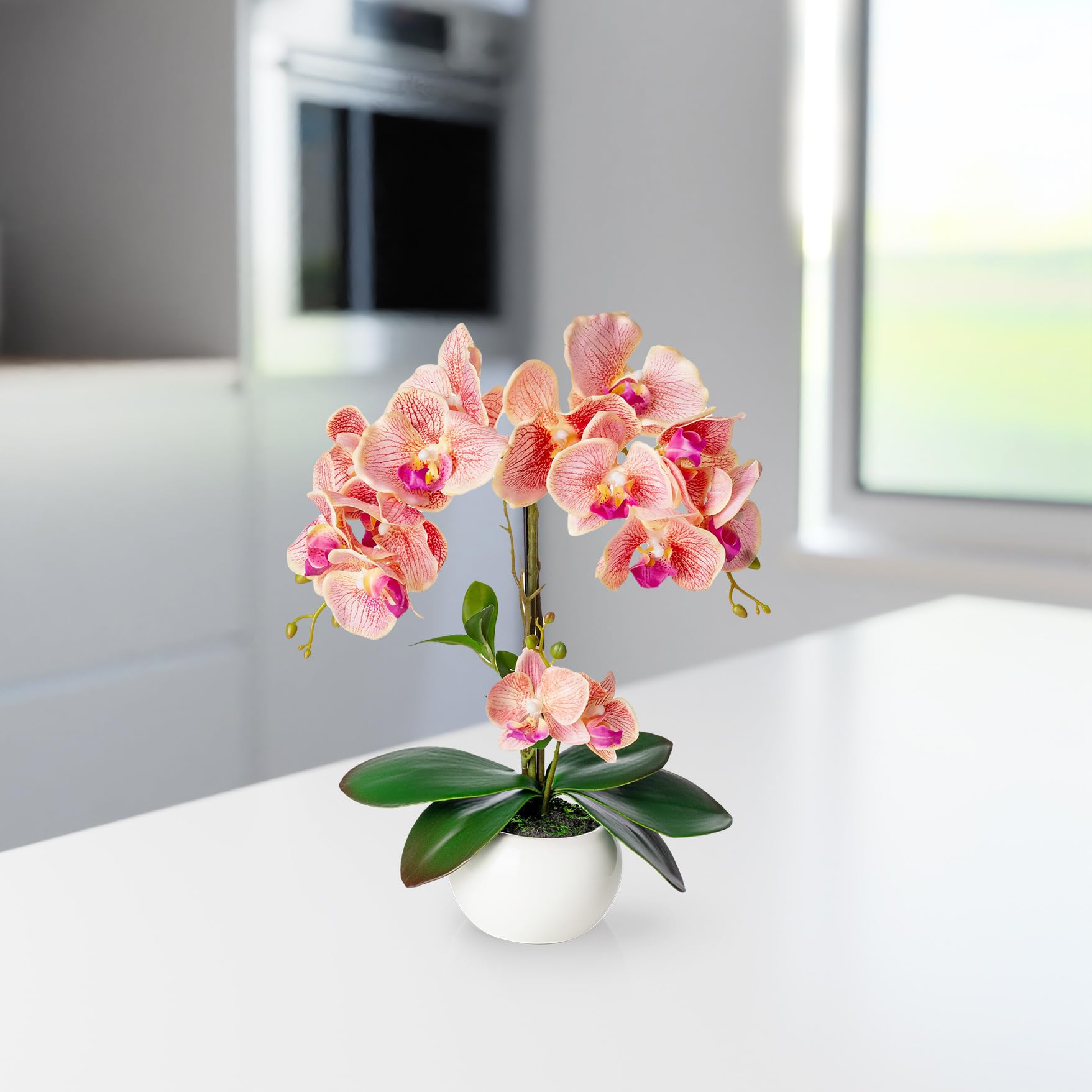 PASCH Orquídeas Artificiales en Maceta de Cerámica Brillante (40 cm) | Flores Artificiales Como las Reales