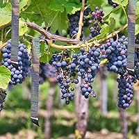 Vista 7 de Cinta reflectante holográfica autoadhesiva para proyectos de manualidades, arte de bricolaje, decoración del hogar, embalaje de vacaciones, etc., 2