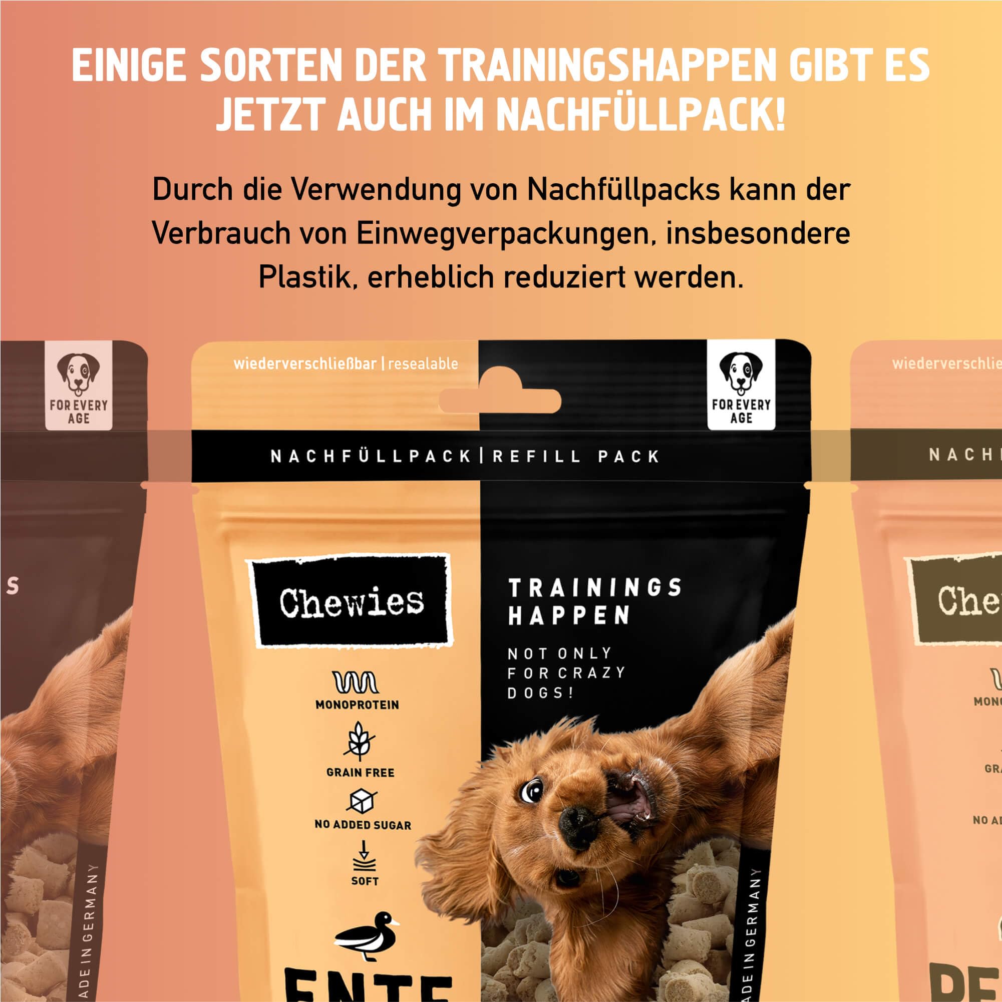 Chewies Trainings-Happen Mélange de friandises pour Chien sans céréales, Douces et sans Sucre – Friandises monoprotéines pour Chien dans Un Seau refermable – Fabriqué en Allemagne (6 x 300 g)