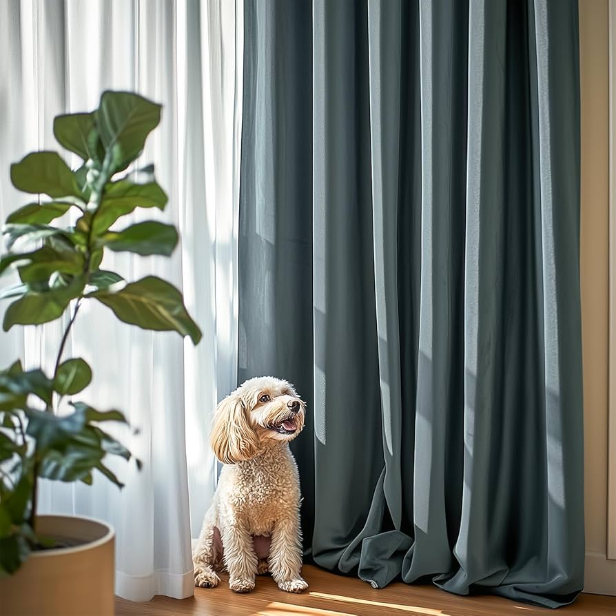 L&#39;Appartement DEUXIEME CLASSE - 【LA CA USA/ラカウサ】C/N Luxe Frank Tee ブラック Frank Tee