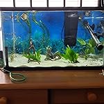 Review Image by marquelle marquelle