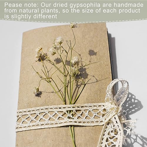 Miniatura 3 de Fumete 50 piezas de mini flores secas de aliento de bebé para boda, marfil, flores naturales secas a granel, gypsophila para jarrón, novia, ducha,