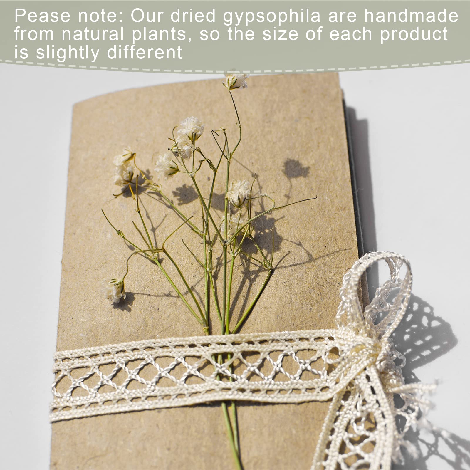 Fumete 50 Pcs Mini Dried Baby Breath Flowers Wedding Ivory Natural Flowers Bulk Dried Gypsophila for Vase Bride Shower Invitation Card DIY Candle Making Decor Craft Party Resin Art, 2-4 in