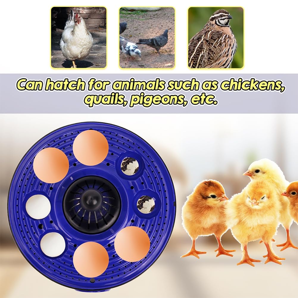 Incubadora digital de huevos de gallina, 8 huevos, control automático de temperatura con visualización de temperatura, mini incubadora de aves de corral para huevos de pato y pájaros, huevo de giro
