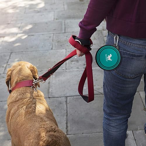 Miniatura 7 de Tazones plegables para perros, para viajes, 2 unidades de fuente de agua portátil para perros, gatos, mascotas, plato de agua plegable para viajar,