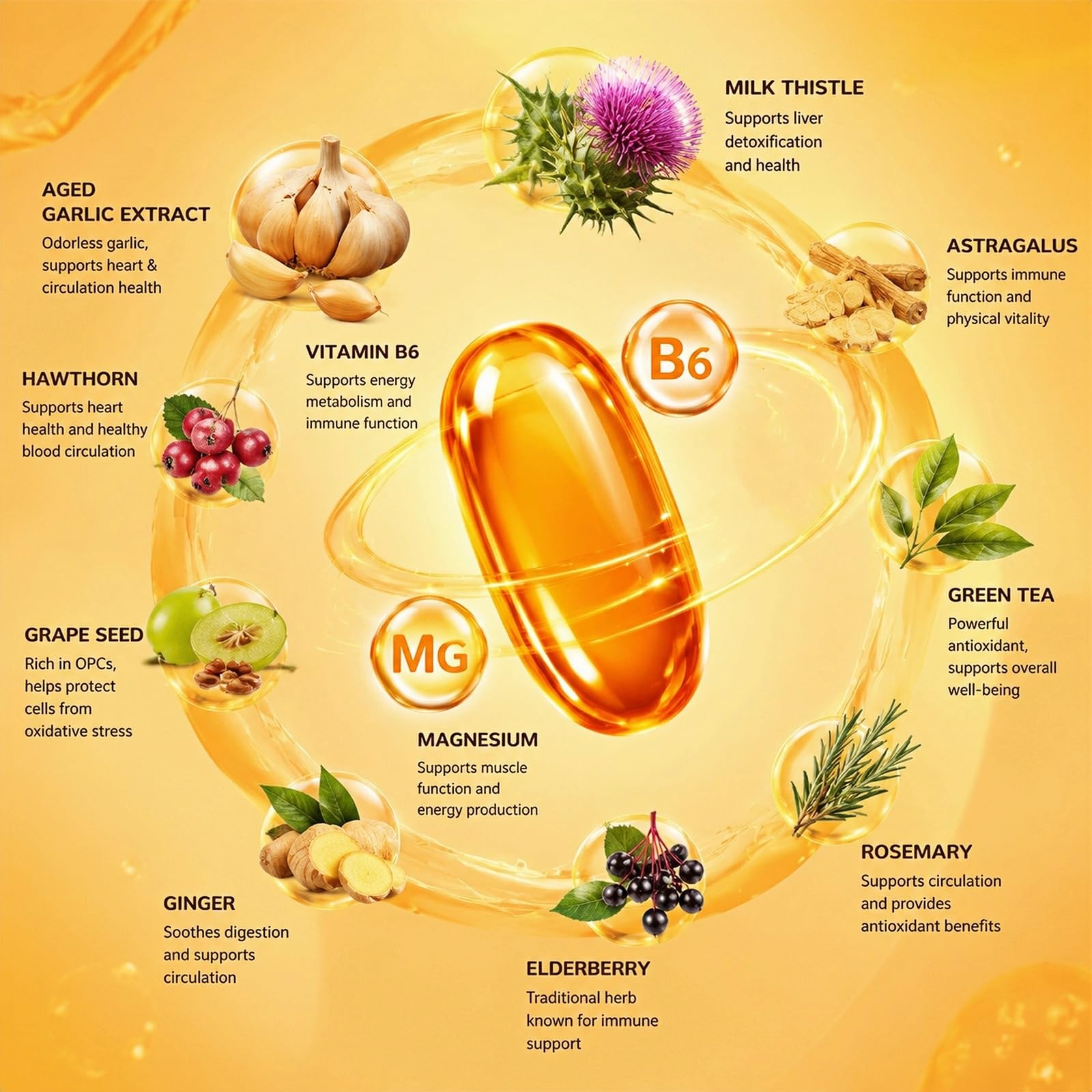 Extract Softgels (180 Count) with CoQ10 Ubiquinol – Standardized — Amazon image 5