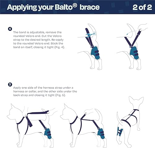 Miniatura 19 de Balto Rodillera ortopédica ACL/CCL para perros - Estabilizador de piernas ajustable para dolor en las articulaciones, recuperación de lesiones