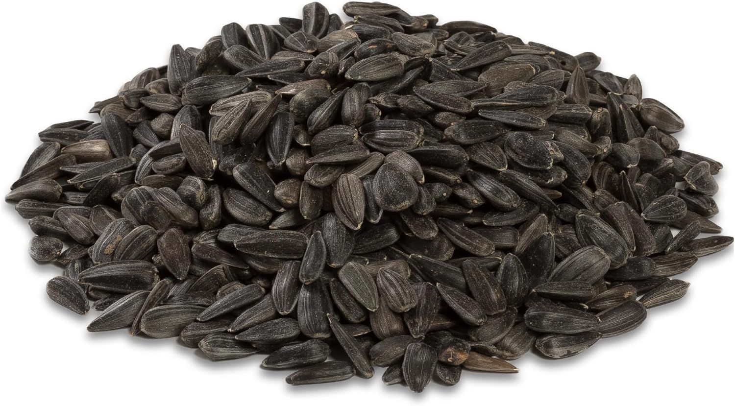 Audubon Park 10427 11286 Black Oil Sunflower Seed Wild Bird Food, 20 lb