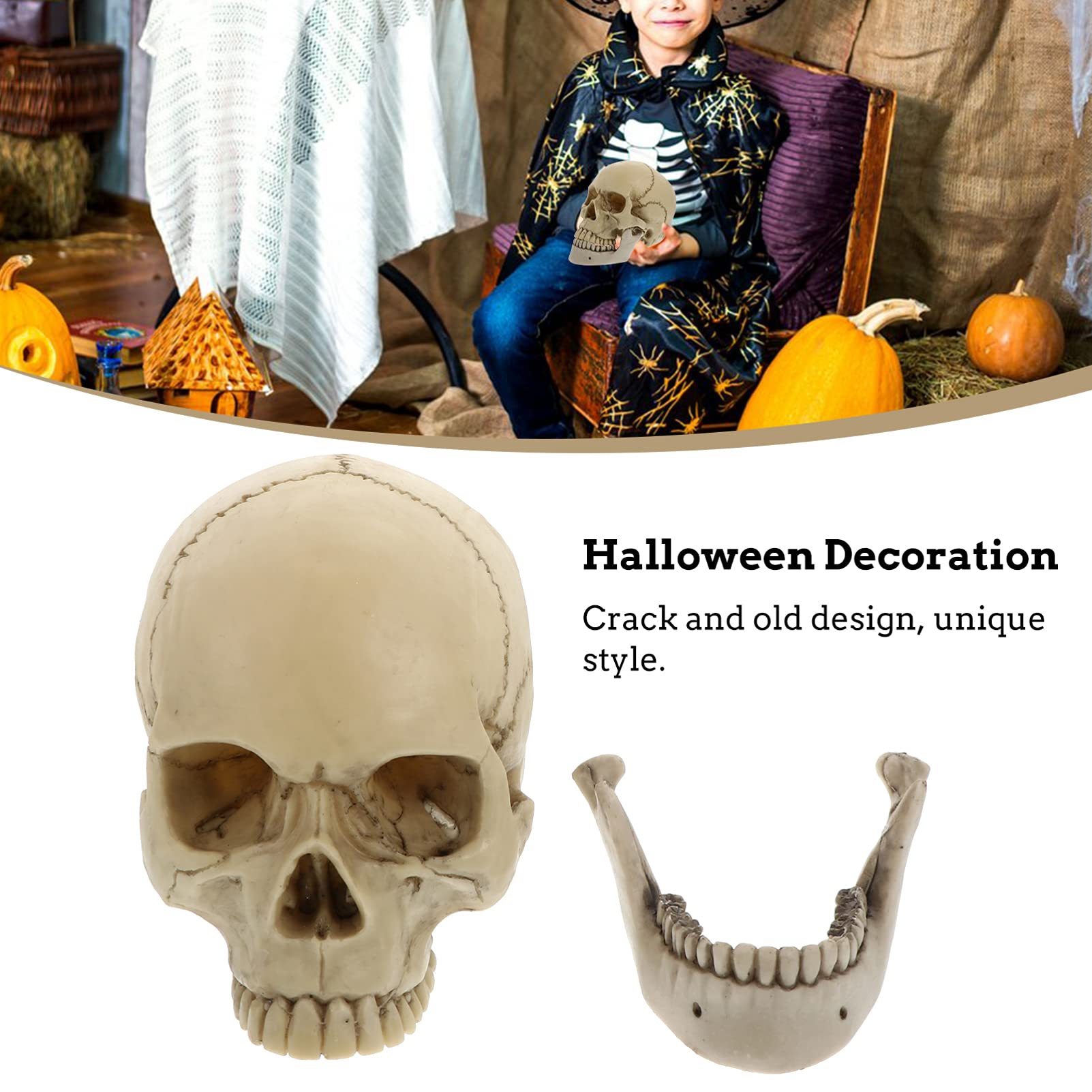 Tomaibaby Cráneo Humano de Tamaño Real Modelo de Halloween Cabeza Humana Calavera Esqueleto Accesorios Decoración Arte Estatuas Decoración Miedo Fantasma Esqueleto Cráneo para La Fiesta de