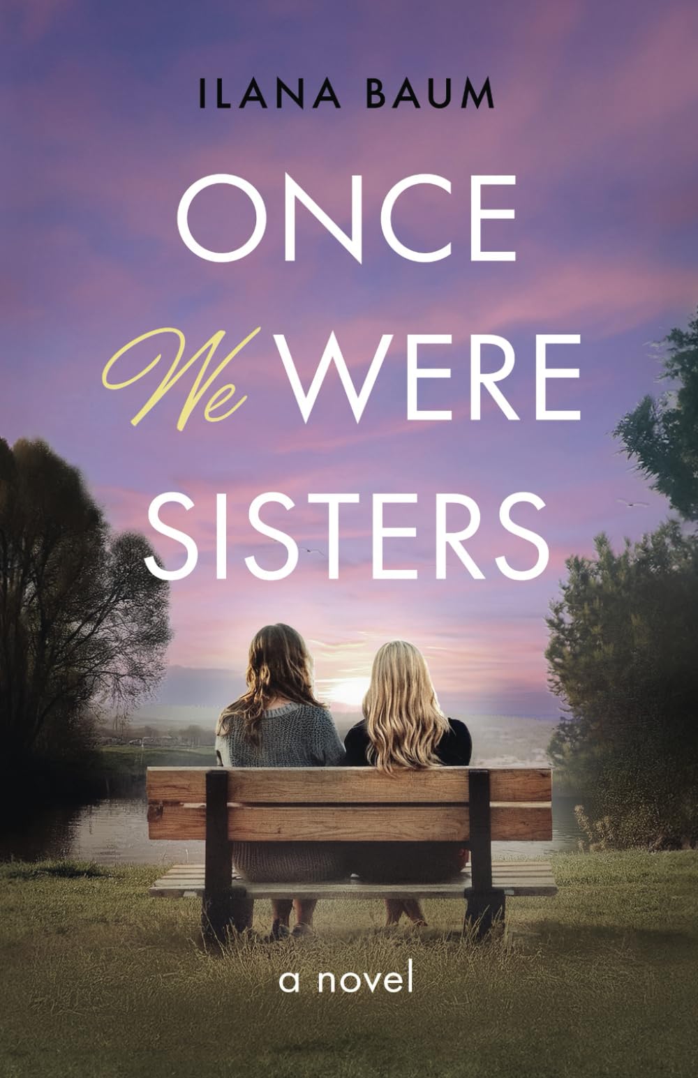 Once We Were Sisters: A Novel