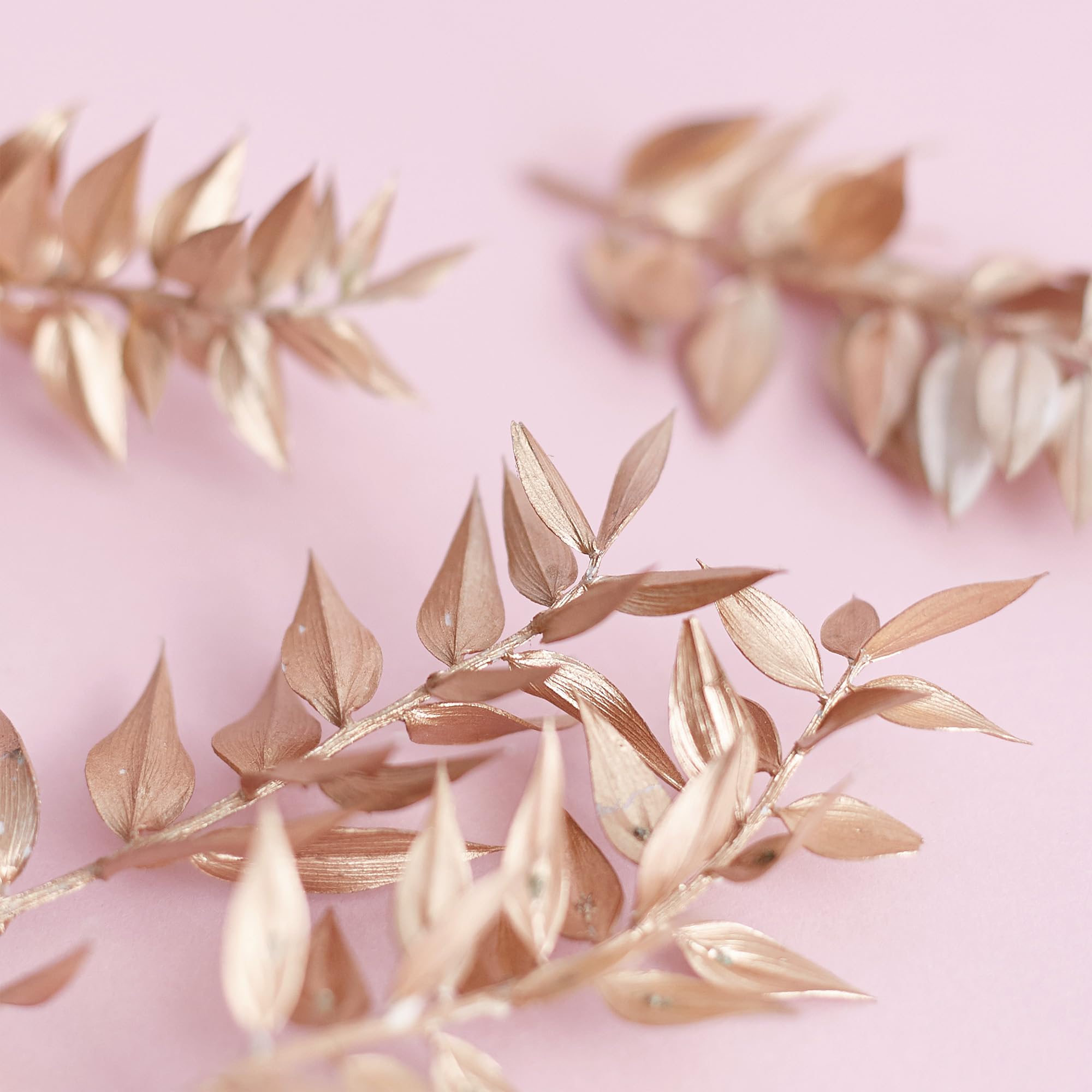 The Baked Studio - Original Dried Flower Ruscus Set For Cake & Cupcake Decorating & Others Crafts (Gold), 1 Box - Image 3