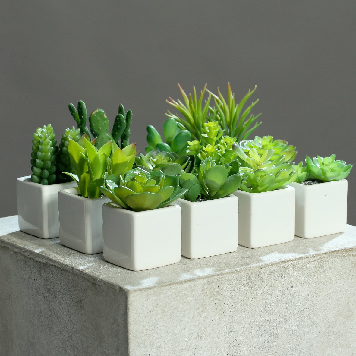 DPI 2X Mini Sukkulentenset im weißen Keramiktopf 7-12 cm 12er Set Kunstpflanzen vo.