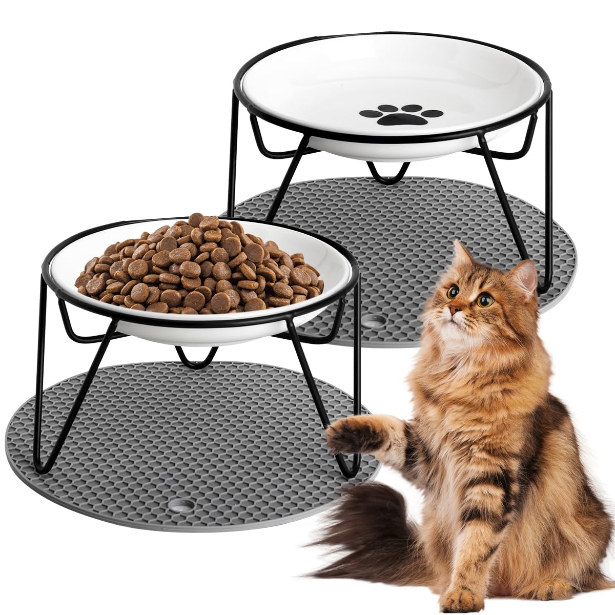 Quyimy 2Pcs Cat Bowl, Ceramic Raised Cat Food Bowl, Elevated Pet Bowl,Anti Vomiting Cat Feeding Bowl, Non Slip Cat Dish with 2 Non-Slip Mats (Fish&Pat)