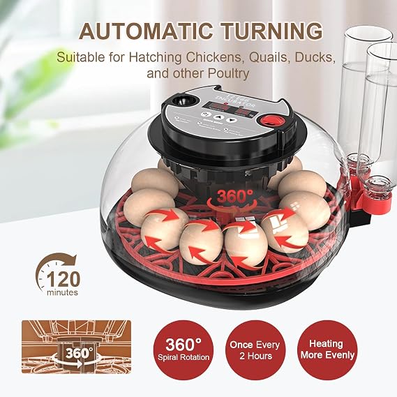 Egg Incubators for Hatching Eggs: Incubator for 12-36 Eggs Automatic Turning - with Temperature Control+Humidity Display+Automatic Water Filling - Home Incubator for Quail Chicken Duck Pigeon