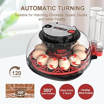 Egg Incubators for Hatching Eggs: Incubator for 12-36 Eggs Automatic Turning - with Temperature Control+Humidity Display+Automatic Water Filling - Home Incubator for Quail Chicken Duck Pigeon