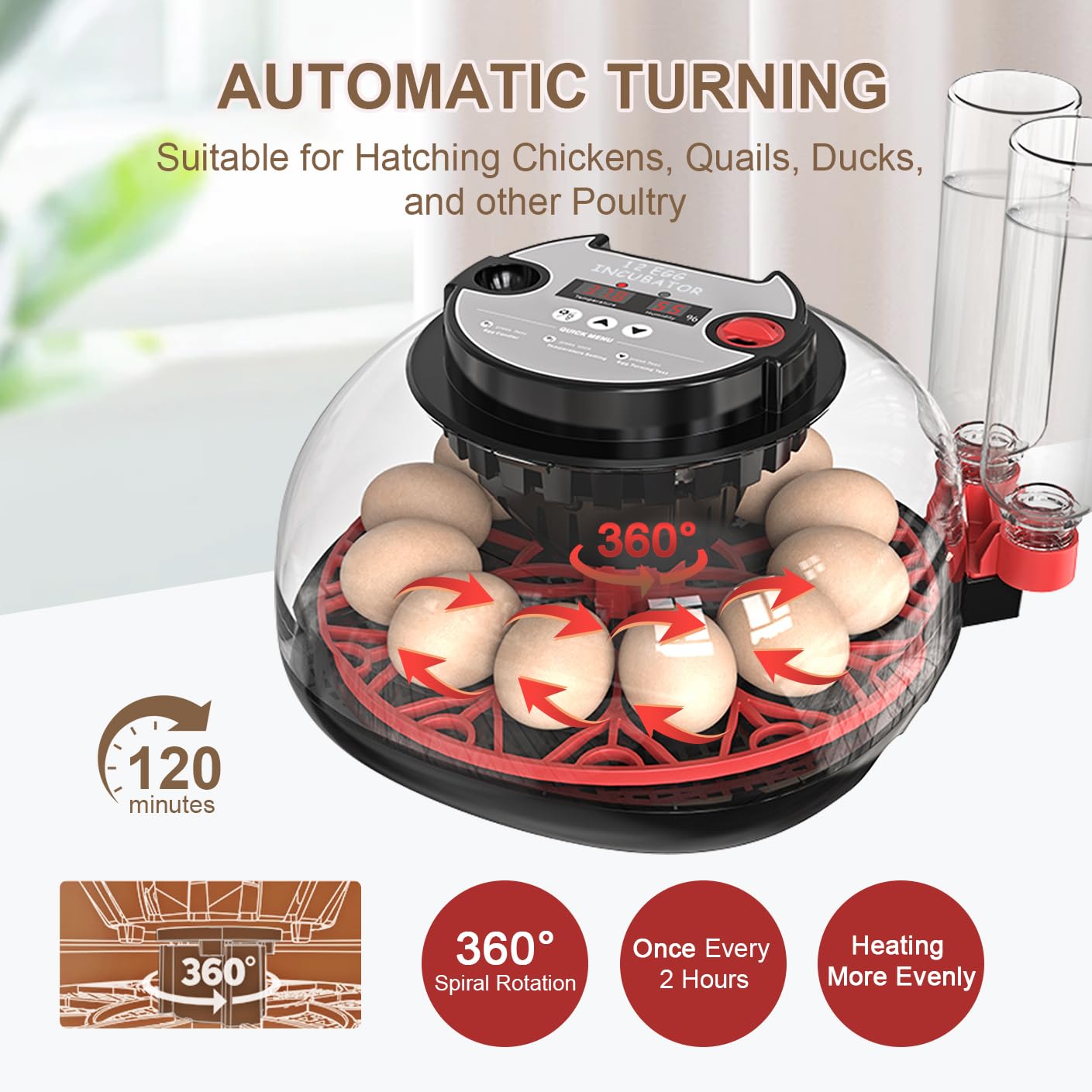 Incubadora Huevos Gallina ncubadora Automática de 12-24 Huevos | con Volteo Automático de Huevos y Humidificación Automática,Control de Temperatura,Incubadora para Huevos de Gallina,Codorniz