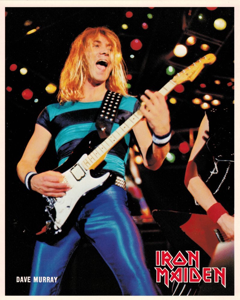 Amazon.co.jp: Iron Maiden Dave Murray with Guitar Portrait Vintage