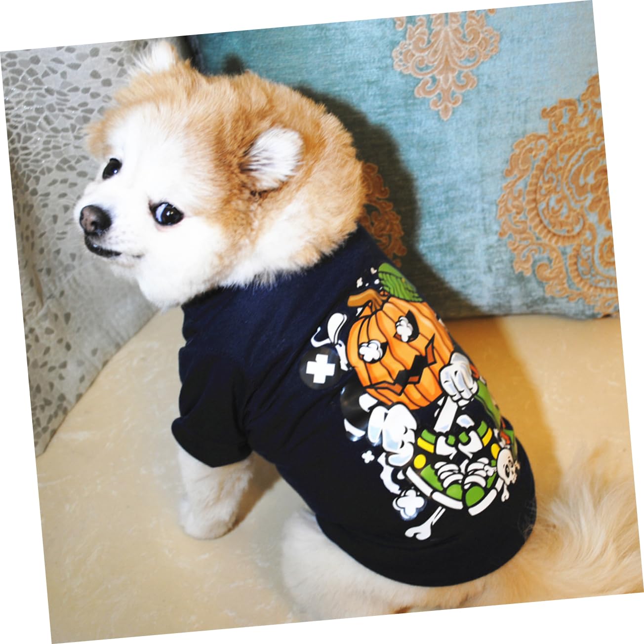 PRETYZOOM 6pezzi Costumi Per Cani Di Halloween Da Magliette Per Cani e Arancione Comode e Lavabili Per Feste e Occasioni Speciali