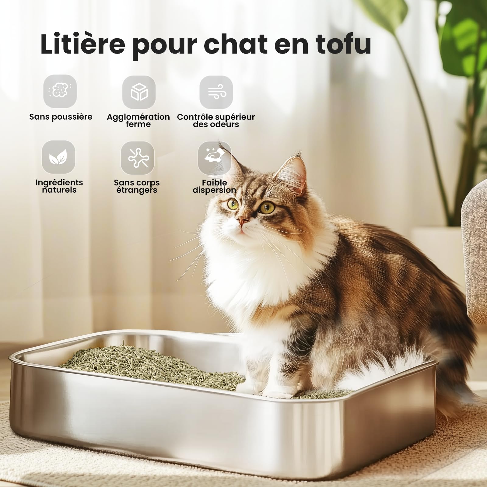 Gradner Pet Litière pour Chats en Tofu 8.16KG, Litière Agglomérante Contrôle des Odeurs avec Thé Vert, Jetable dans Les Toilettes, sans Poussière et Légèrement Agglomérante - 6LBS*3
