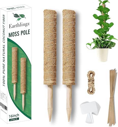 Earthlingz Monstera - Poste de musgo para plantas, 2 piezas, 16 pulgadas, estacas para plantas de interior, poste de musgo para plantas trepadoras,
