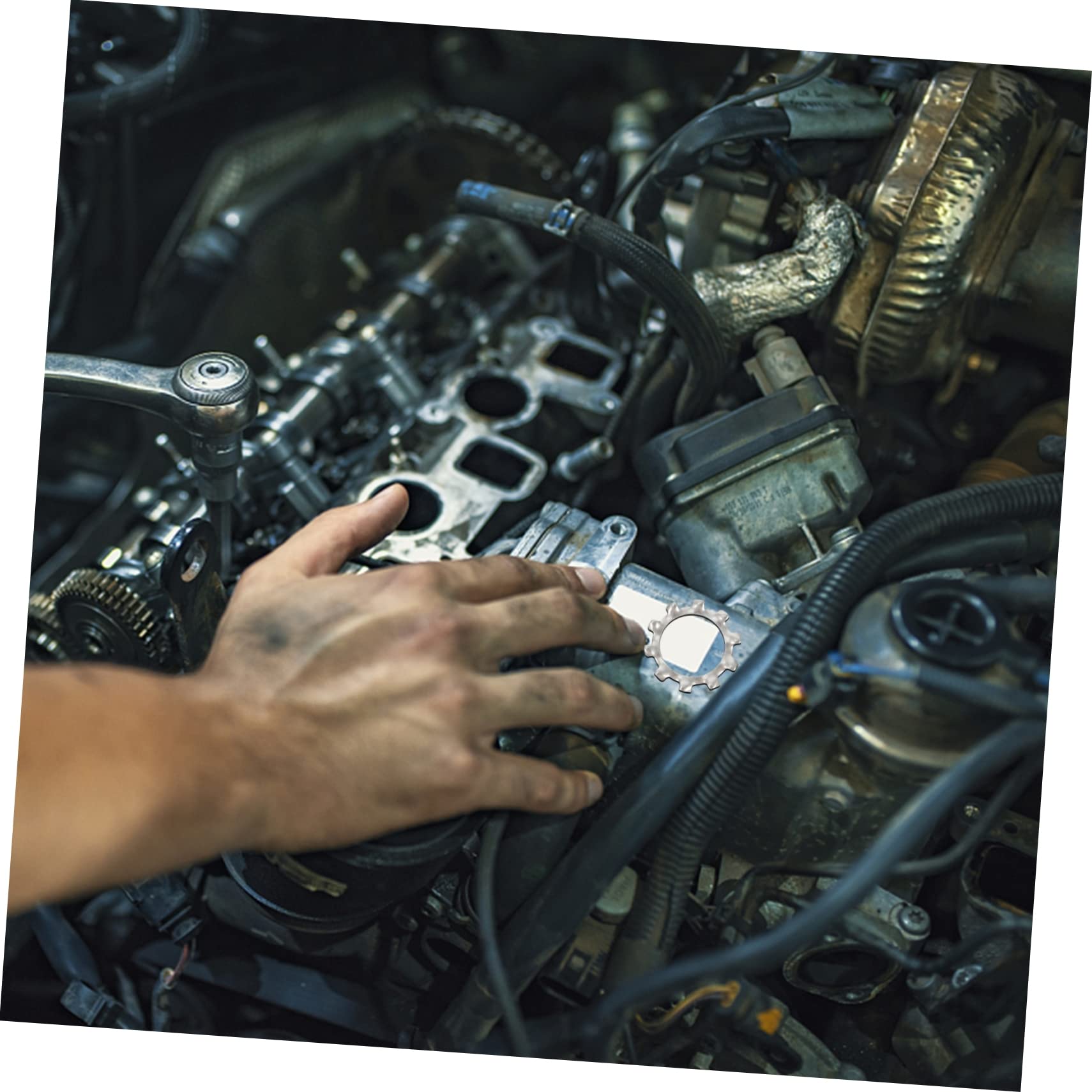 SOLUSTRE 280pcs Stainless Steel External Tooth Gasket Serrated Lock Washers for Fasteners Push Locking Washers