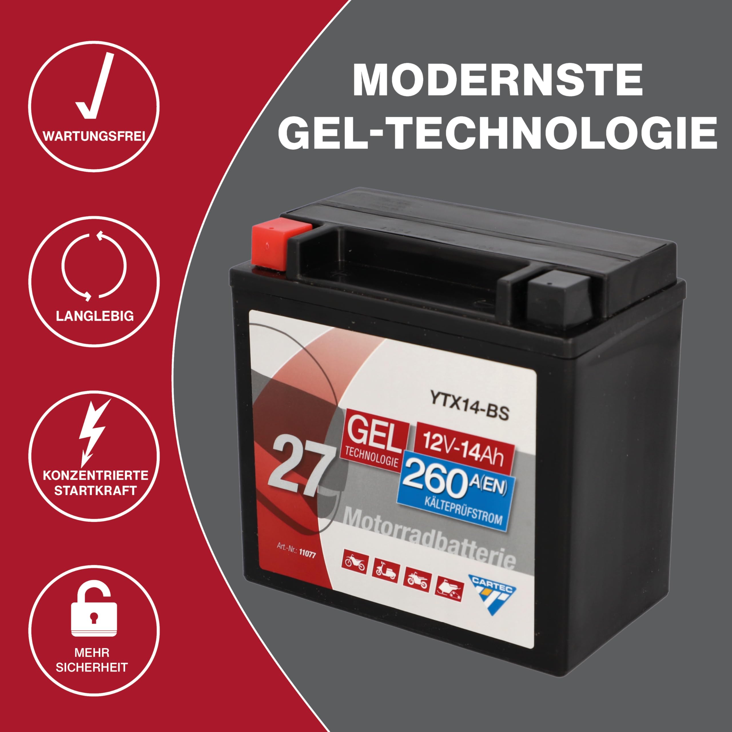 CARTEC Batería de motocicleta YTX14-BS, 14Ah, 260A, tecnología de gel, calidad original, resistente al ciclo, almacenable, sin mantenimiento, color negro