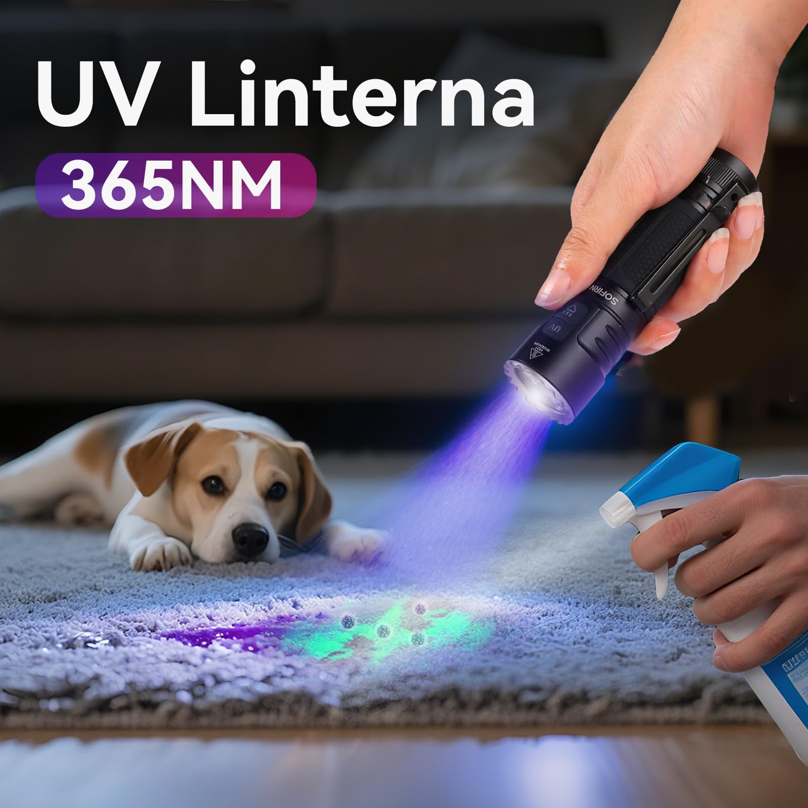 CSTEBOKE SOFIRN SR23 Linterna UV 365nm, Linterna LED Recargable 3300LM, Linterna Potente con Luz Negra, USB-C, IPX8, Imán y Clip, para Camping, Fluorescencia, Manchas de Mascotas y Uso Exterior